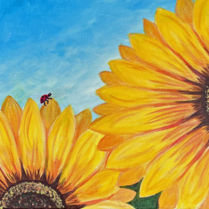 Sunflower Ladybug - Canyon Breeze at Red Mountain - 5-8-25